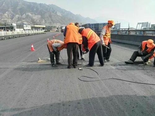 沾化道路桥梁病害治理